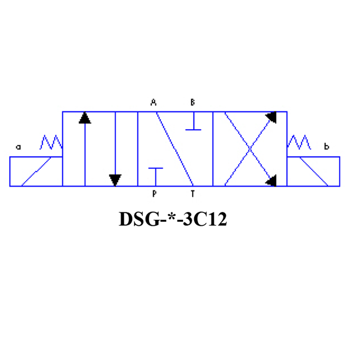 DSG-03-3C12-A110-51T