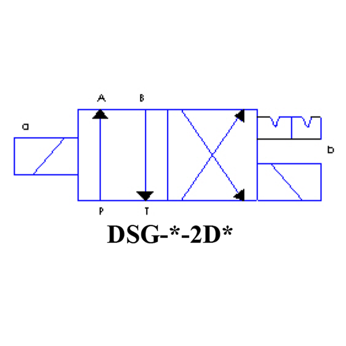 DSG-01-2D2-D24-N1-70