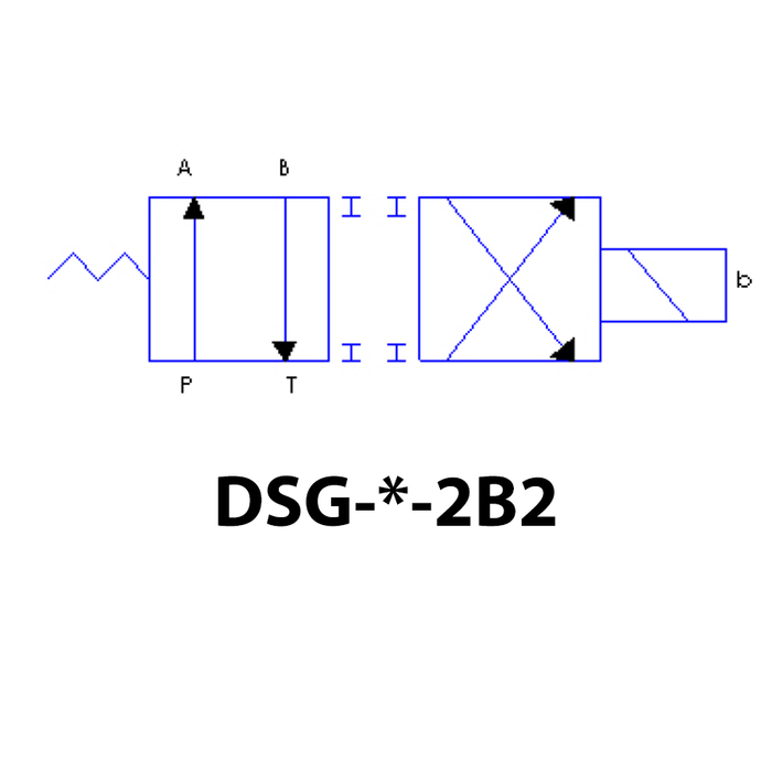 DSG-03-2B2-A220-50