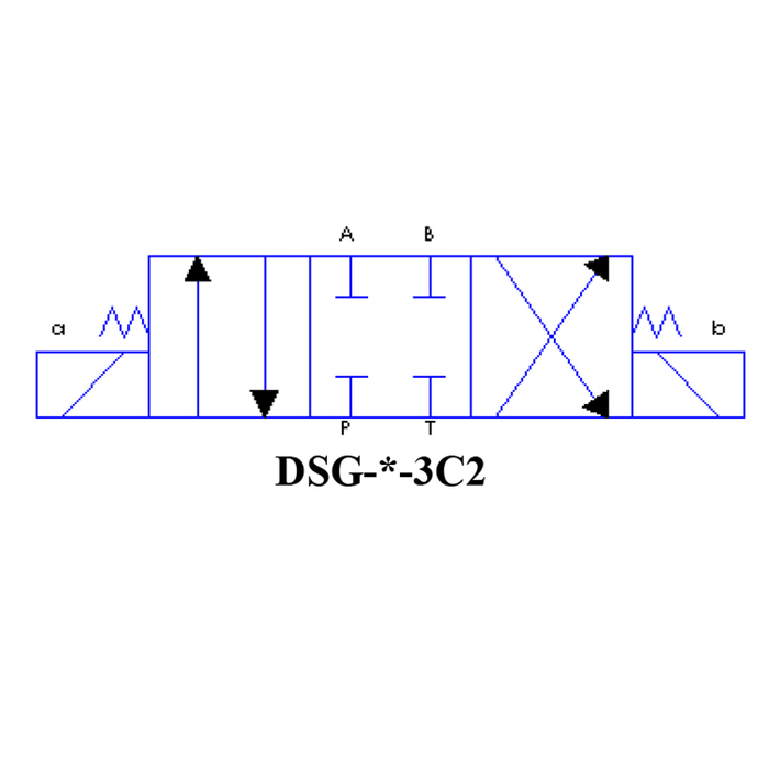 DSG-03-3C2-A110-51T