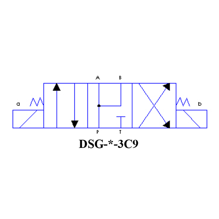 DSG-03-3C9-A110-51T